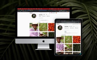 Mockup de Sitio Web de Prisma Plantae